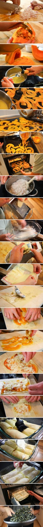 Kürbis-Cannelloni - Zubereitung