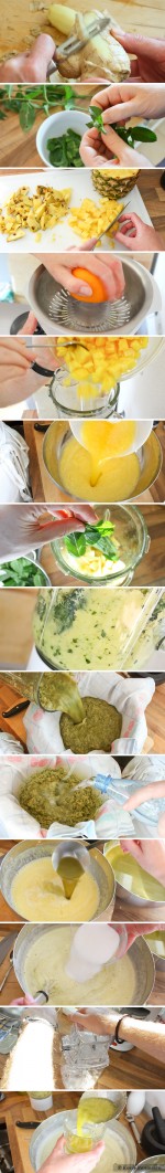 Ingwersaft mit und ohne Schuss - Zubereitung